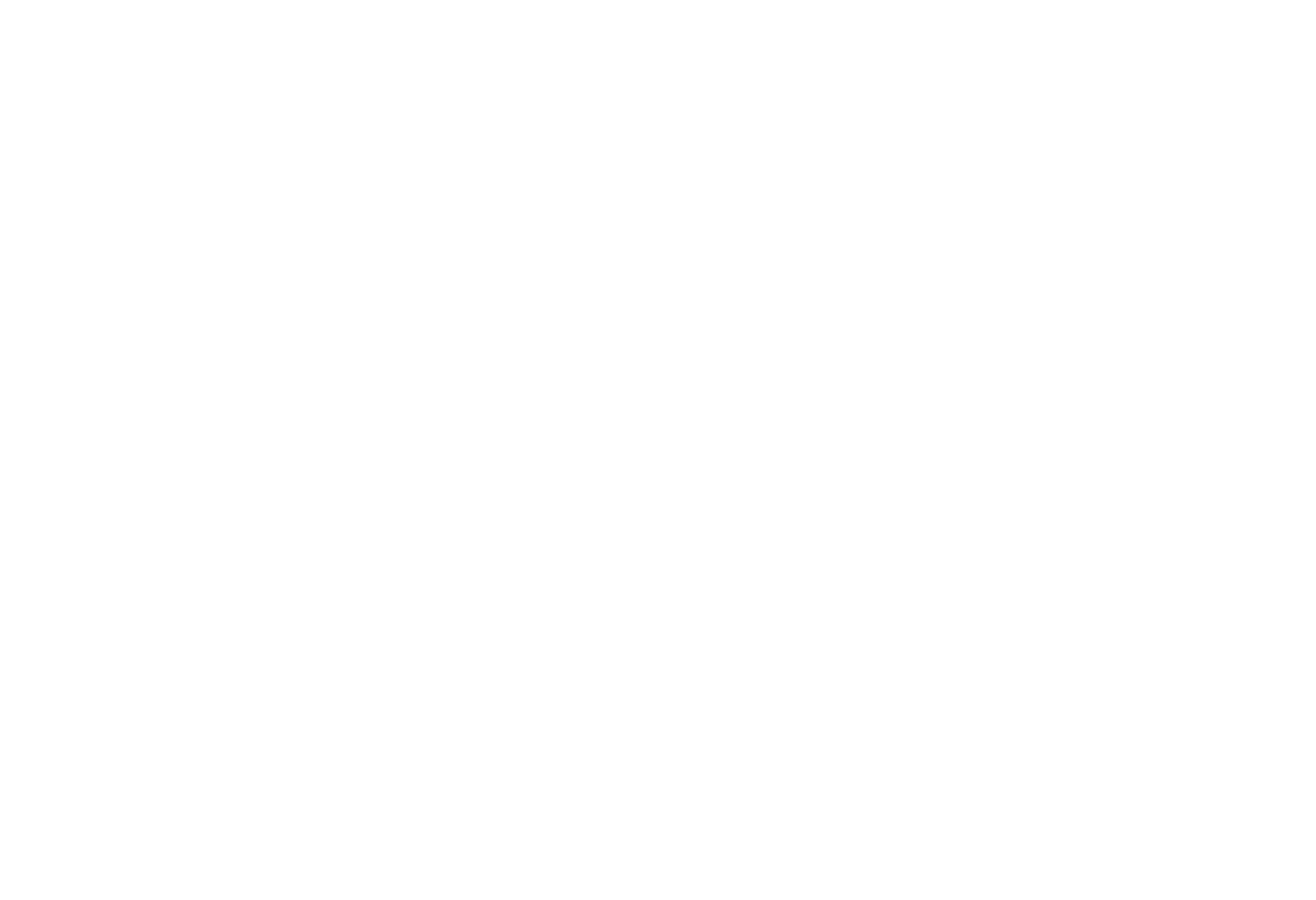 Logo Escape Team White